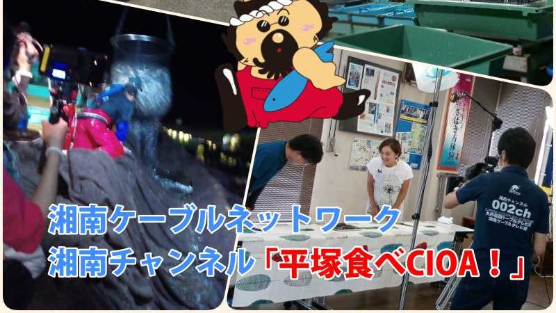 jf_hiratsuka's tweet photo. 皆さん！見ていただきましたか？　湘南ケーブルTV　https://t.co/wJ1Fp3sa7r #フシッチェ #お魚サポーター #アジ #魚料理 #ひらつか #湘南チャンネル #タマ三郎 #hiratsuka #定置網
@fushicche @shonan_cable https://t.co/Pvg4cA952E