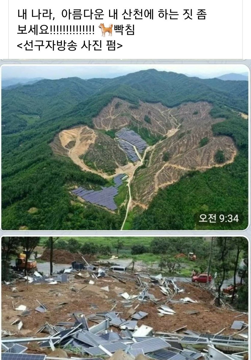 환경 전문가들 뭐라구 한 말씀 하셔야죠!