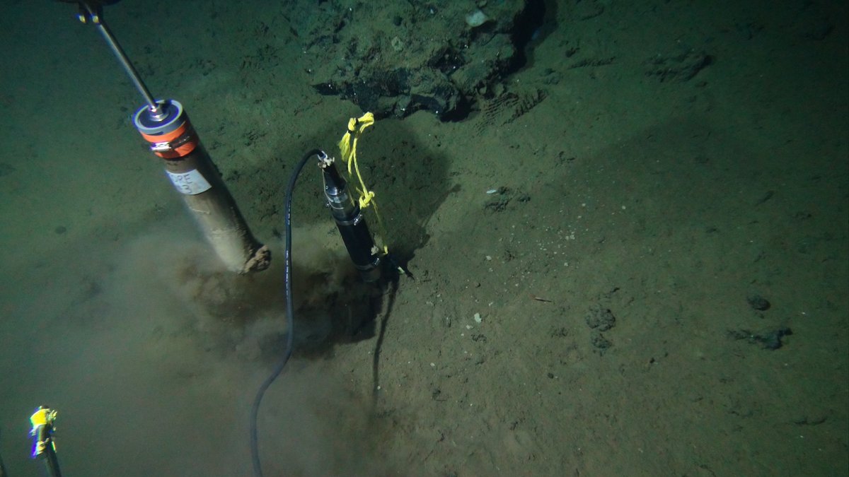 Under all tested scenarios, the percentage of microorganisms subsisting at less than 190 zW is at least 65%— underscoring the highly energy-limited nature of microorganisms in subseafloor sediments