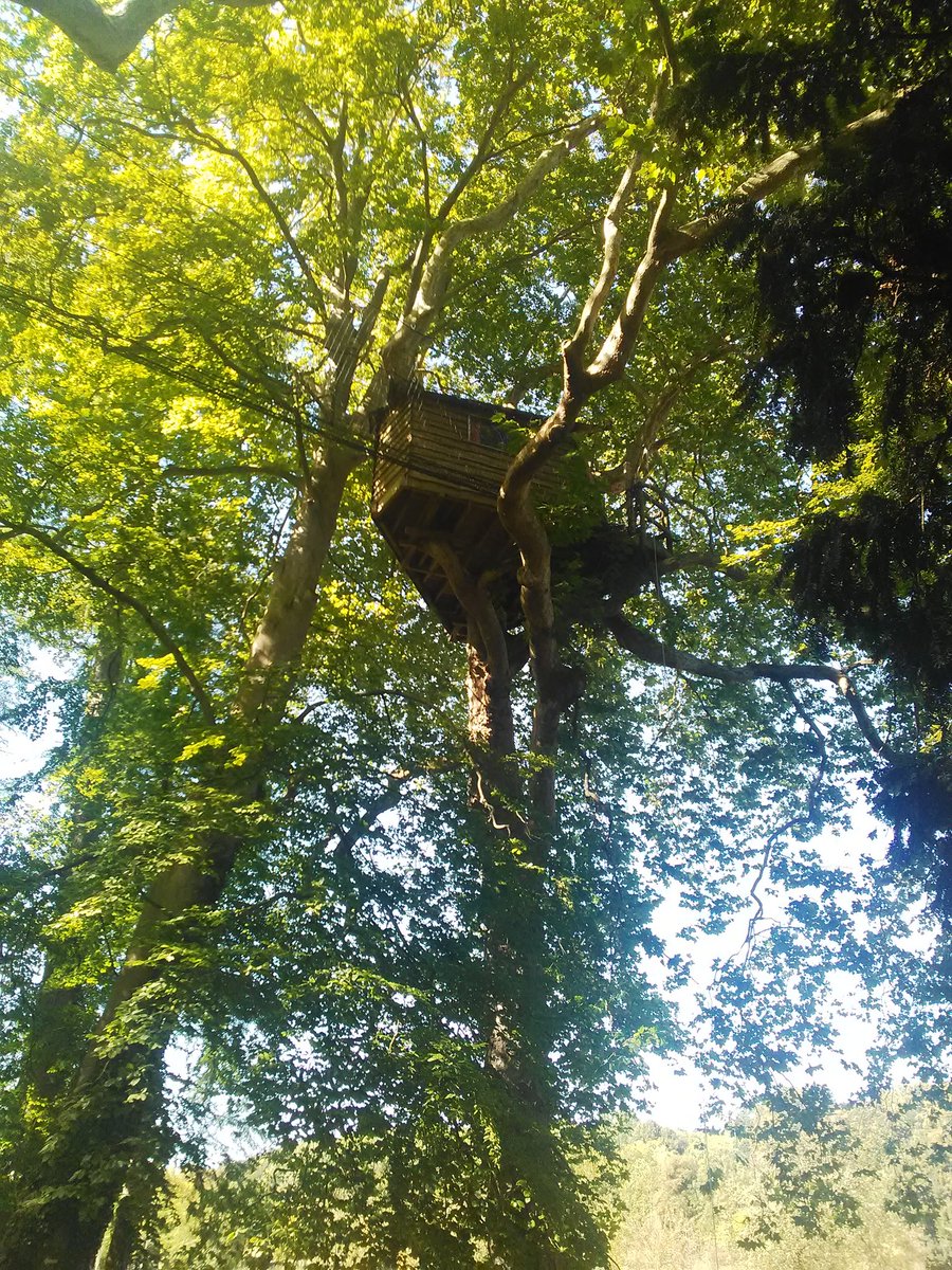 myscene073's tweet photo. Déconnexion totale à 16 mètres de hauteur! 😃 Superbe expérience la nuit dans une cabane perchée 😀 magnifique domaine de canon avec sa ferme pédagogique! #insolite #cabaneperchee #Normandie #Vacances #ete2020 https://t.co/cR54uAE1Qh