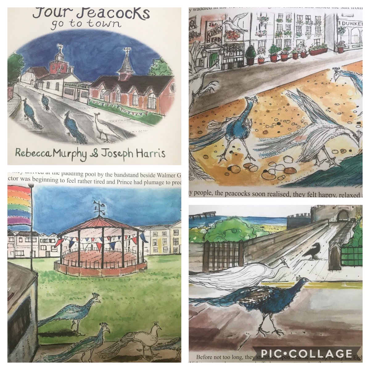 Such a fabulous book of a true story which happened during lockdown in my home town. Wonderful illustrations of the places I grew up and love so dearly ! 💕I will share this with my class in September.