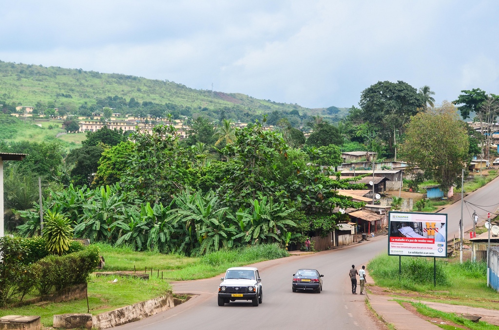 VerteGabon's tweet photo. Le vert comme moteur du développement…local

Le XXIème siècle est symbolisé par la transition de deux conceptions de l’économie : l’une guidée par la seule recherche du proﬁt. Et l’autre qui, semble remettre l’Homme et l’Environnement, au centre des préoccupations... https://t.co/ifM7r5aWhD