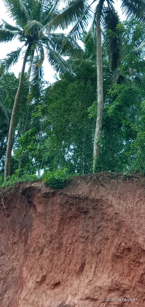 rameshk64263303's tweet photo. ಬಿ ಸಿ ರೋಡ್ ಪುಂಜಾಲಕಟ್ಟೆ ಮಾರ್ಗವಾಗಿ ಸಂಚರಿಸುವ ವಾಹನ ಸವಾರರೆ ಜಾಗ್ರತೆ ವಹಿಸಿ ಮಾರ್ಗ ಮದ್ಯೆ ಬಡಗುಂಡಿ ಪ್ರದೇಶದಲ್ಲಿ ಗುಡ್ಡ ಜರಿದು ಮರಗಳು ಧರೆಗುರುಳುವ ಸಾಧ್ಯತೆ ಇದೆ ಸಂಬಂಧ ಪಟ್ಟ ಅಧಿಕಾರಿಗಳು ಮತ್ತು ಗುತ್ತಿಗೆದಾರರು ಗಾಢ ನಿದ್ರೆಯಲ್ಲಿದ್ದಾರೆ ನಿಮ್ಮ ಜಾಗ್ರತೆ ನೀವು ವಹಿಸಿ ಮೇಲಿನ ಚಿತ್ರವನ್ನೊಮ್ಮೆ ಗಮನವಿಟ್ಟು ನೋಡಿ 

@DCDK9 https://t.co/W4kEoAN9IJ