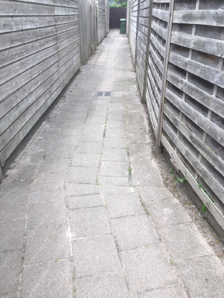De stegen aan het Boedijnhof in Hoorn zien er weer netjes uit. Langs de schuren in de stegen hebben we in samenwerking met bewoners en de gemeente onkruid verwijderd.