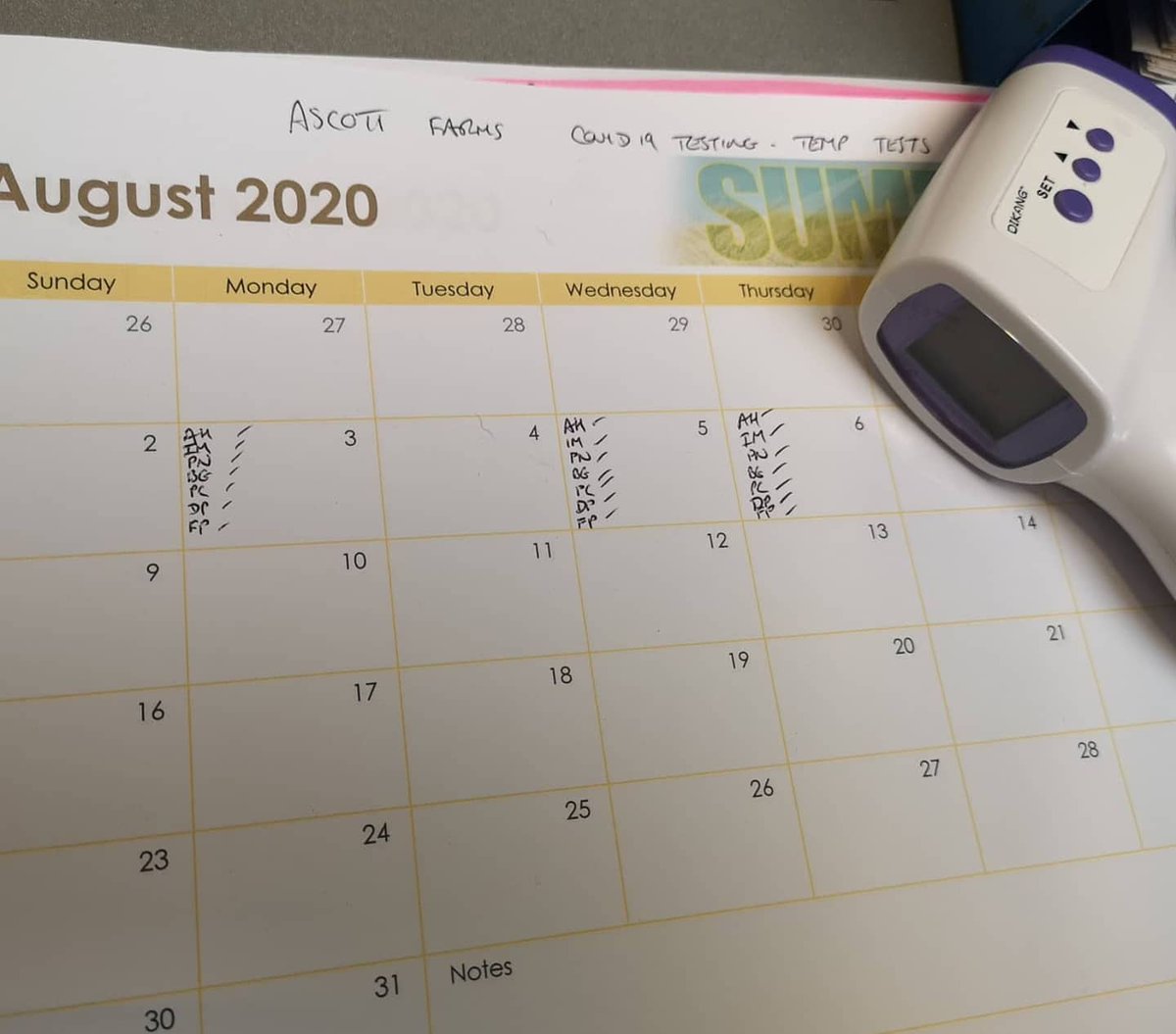 #farm24.. Morning from the Ascott Farms team, a new morning routine this year... Temperature testing! #covidsafe

Lots more to come today.. Checkout @alastairhall_ intsa  feed for lots more updates.

#farm24🌾 <a href="/farmersguardian/">Farmers Guardian</a> <a href="/morrisons/">Morrisons</a> @bigALLYofAscott