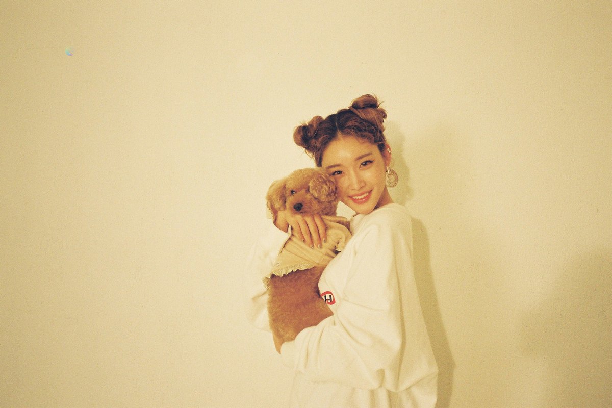 🎨 #FANSHIPonly 📸 HAPPY BAMBI DAY 🥳 ✌🏻 bit.ly/30u5CZU #밤비 #BAMBI #청하 #CHUNGHA #별하랑 #BYULHARANG #OfficialBYULHARANG2nd #밤비DAY 🐶💚💙💜