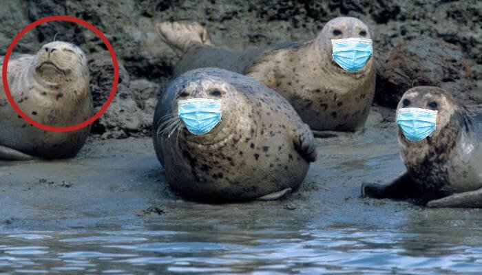 ClintPiticlint's tweet photo. He aquí un foco de contagio. https://t.co/PKloGRARPK