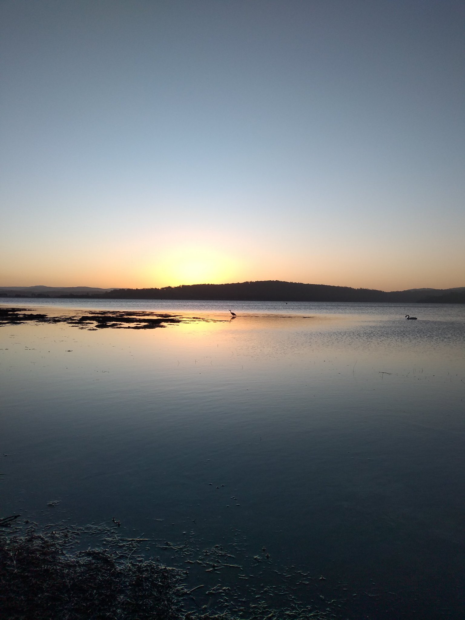 Bec Gorton on X: A few busy weeks back in the office and the good shutdown  habits ground to a halt. Kick started the daily walk again today, wish they  all finished with sunsets, birds and salty air. t.co3R0pDBxwFJ  X