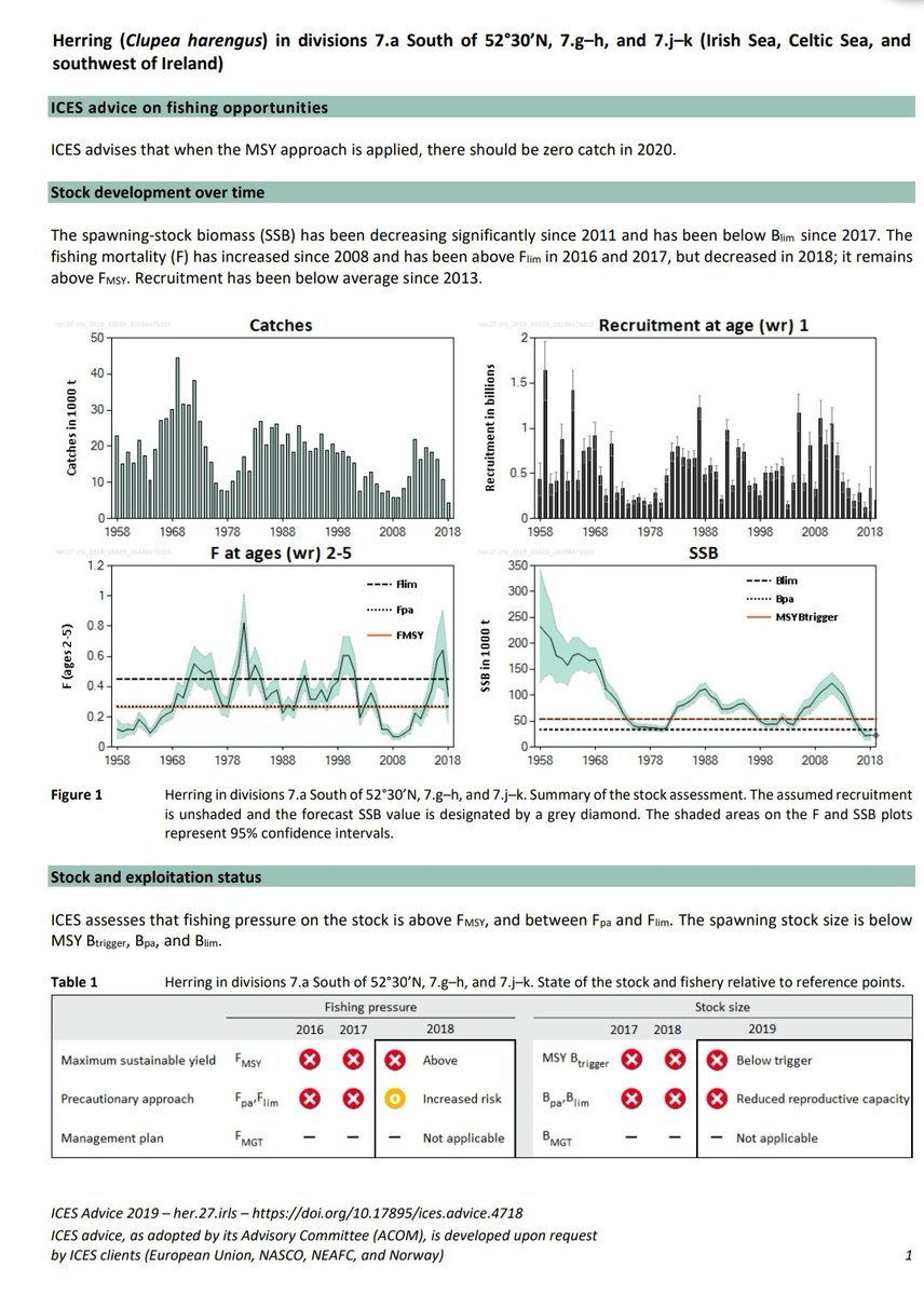 Take herring for instance, like sprat a fish that gathers in great shoals, which up to the 60s provided a bonanza for fishermen. The fishing collapsed abruptly last year and the scientific advice for this year is that *zero* herring be caught - management here has failed...