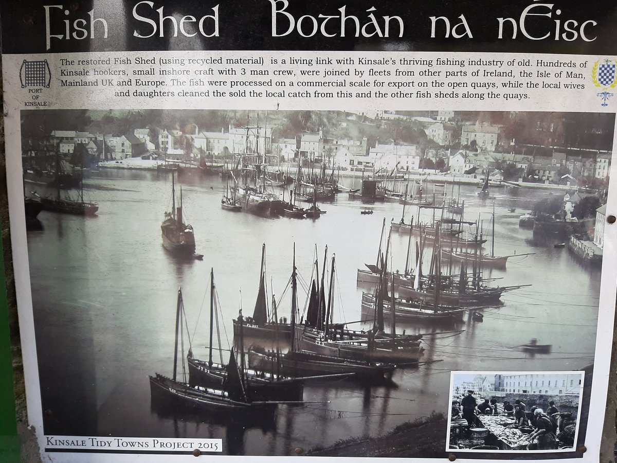 Take herring for instance, like sprat a fish that gathers in great shoals, which up to the 60s provided a bonanza for fishermen. The fishing collapsed abruptly last year and the scientific advice for this year is that *zero* herring be caught - management here has failed...