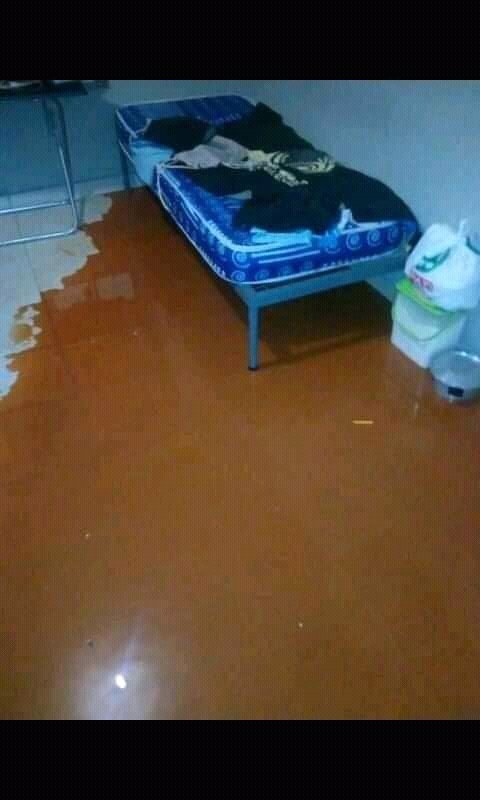 ThelmaMashola's tweet photo. The damning evidence of the injustices of UNIVEN management towards students is a lot. We were tolerant all along. But not anymore. We are tired
#univenmustfall 
#univenmustfall https://t.co/6KoCakfbUX