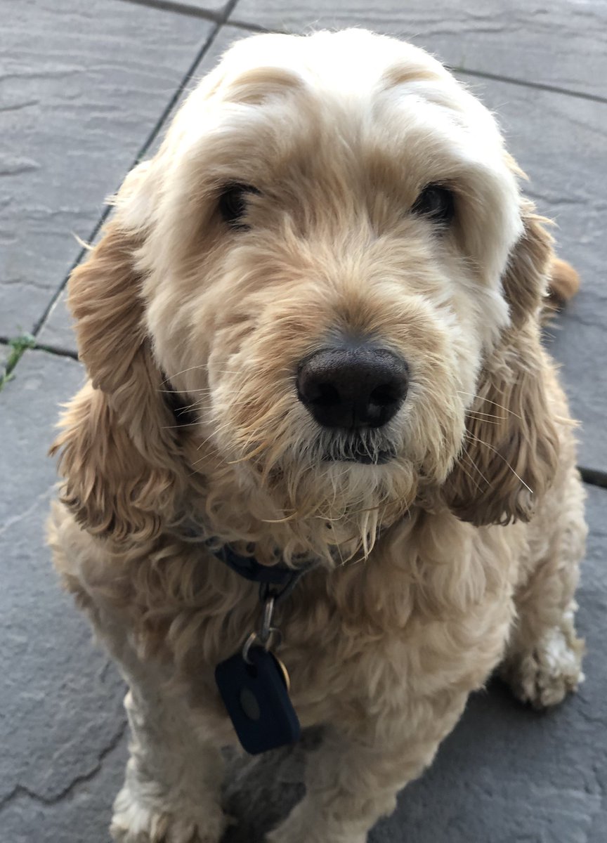 Ted Dale tweet media