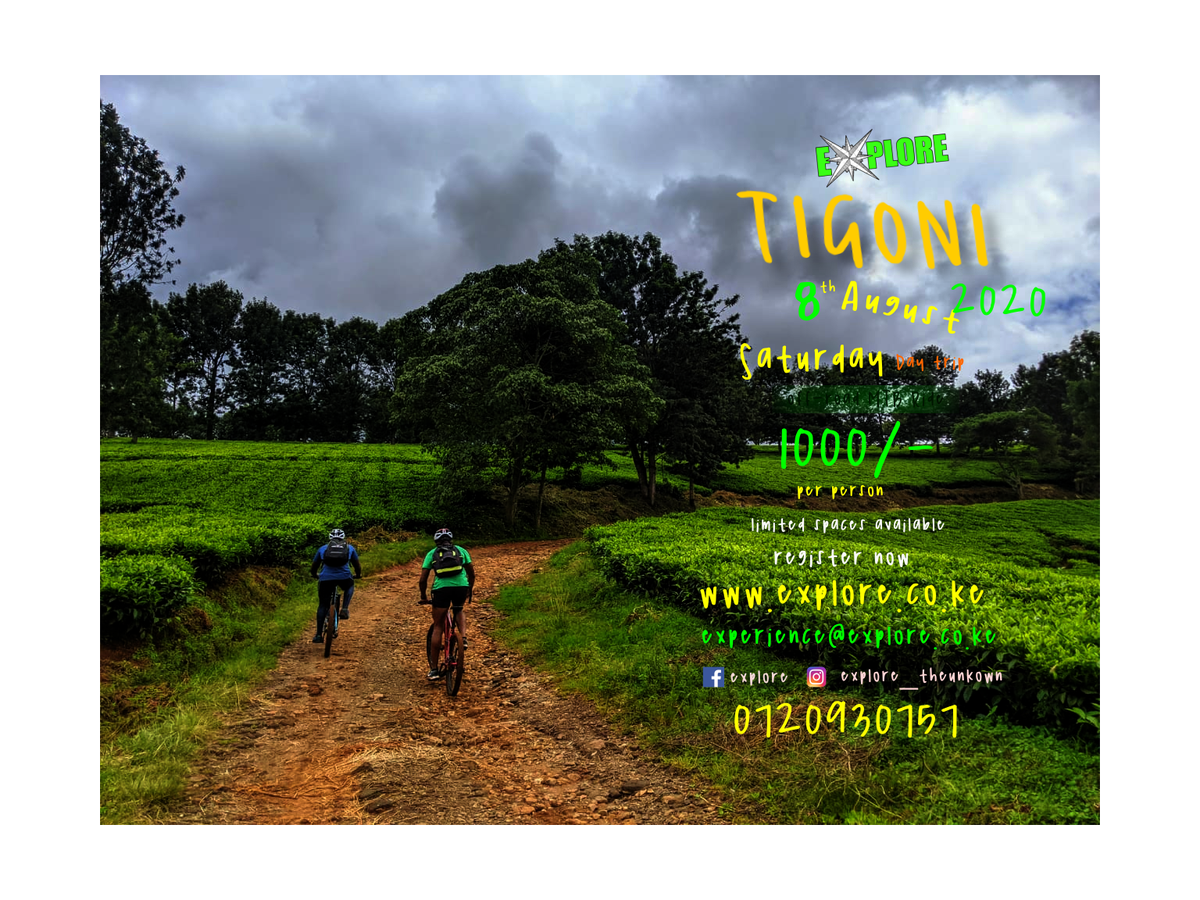 Join us for a enthralling ride through Tigoni this Saturday. Where you will be immersed in the vast tea plantations that make the area so memorable. 
#ridelimitless#limitlessbikes#cycling#nature#fun