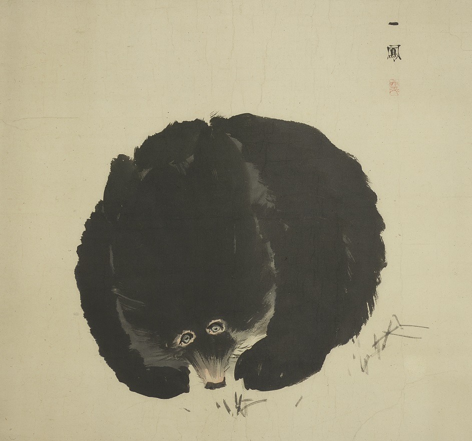江戸の動物絵大集合！ #猿描き狙仙三兄弟 》 熊図（森一鳳筆） 江戸
