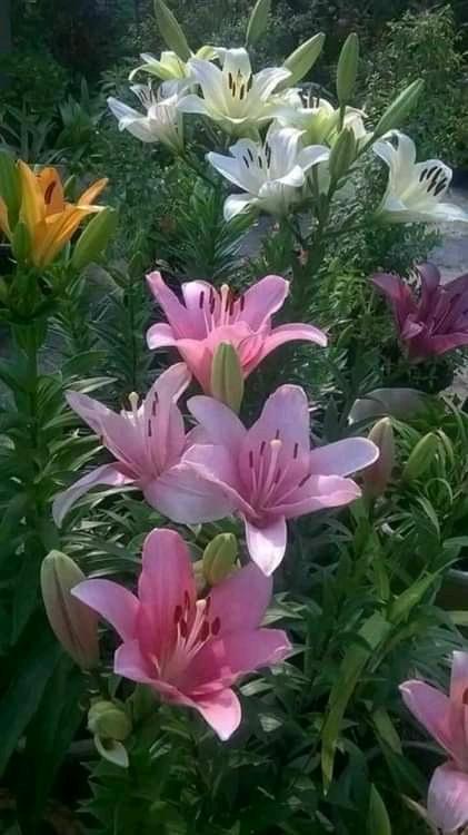 martina_Shc's tweet photo. Happy Thursday 😍 https://t.co/tooI9MPrWn