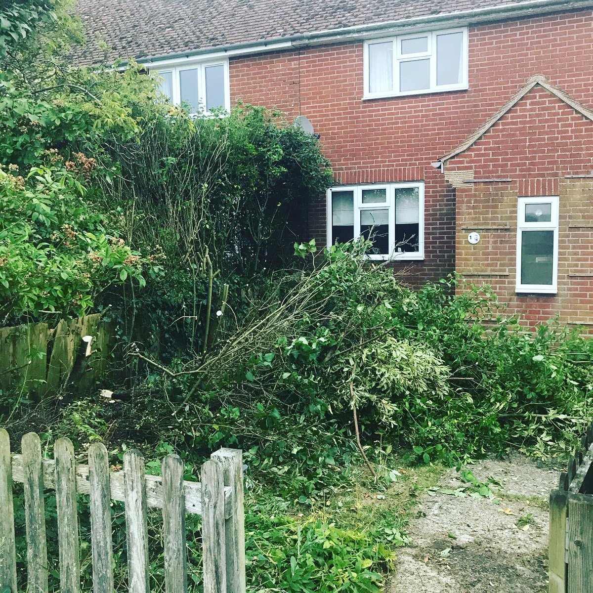 CycleKatieLou's tweet photo. Busy in the garden gardening https://t.co/uIz4ADw8BO