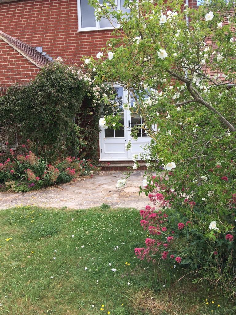 CycleKatieLou's tweet photo. Busy in the garden gardening https://t.co/uIz4ADw8BO