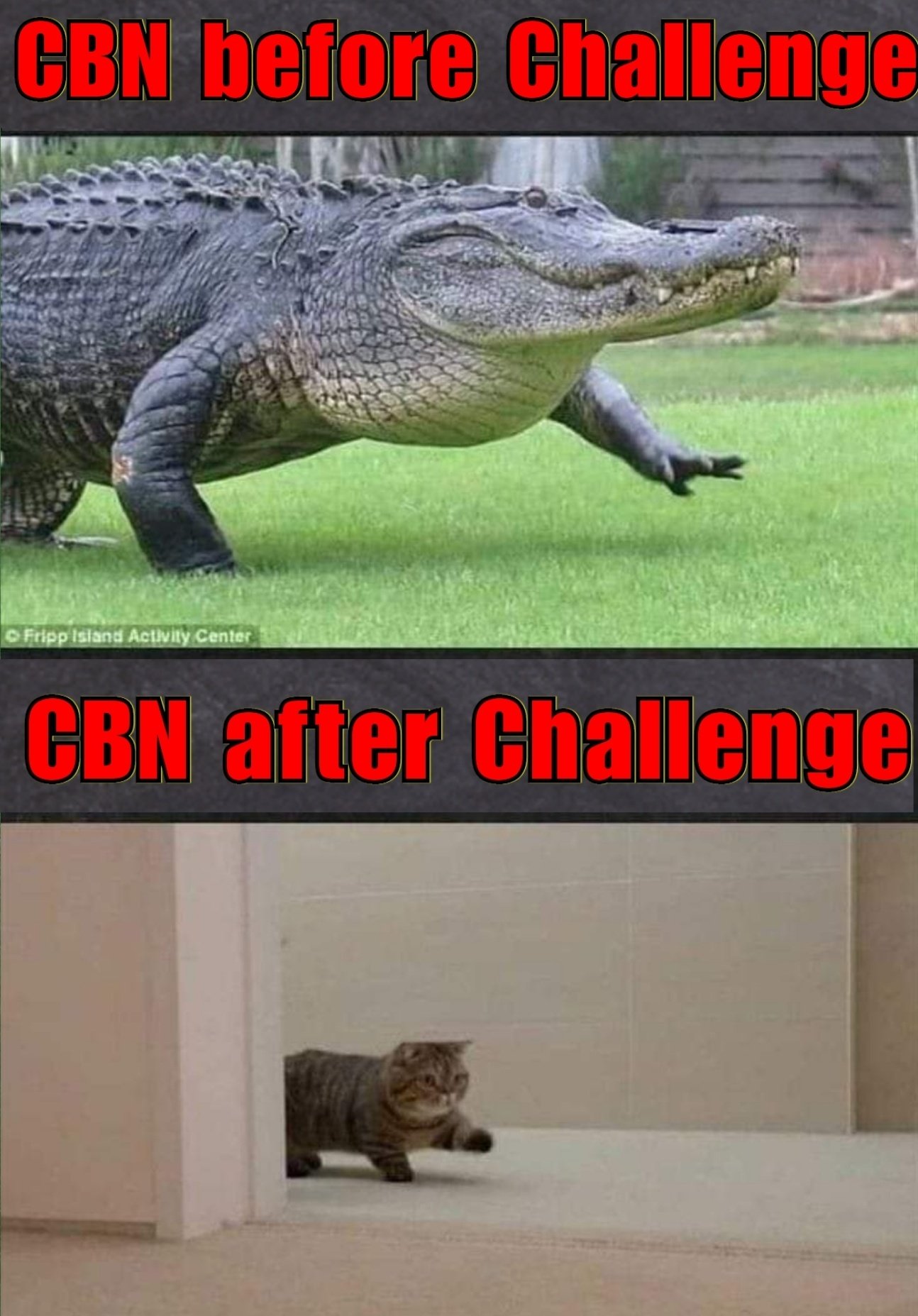 EeuYiTPU8AAaiVZ?format=jpg&name=large