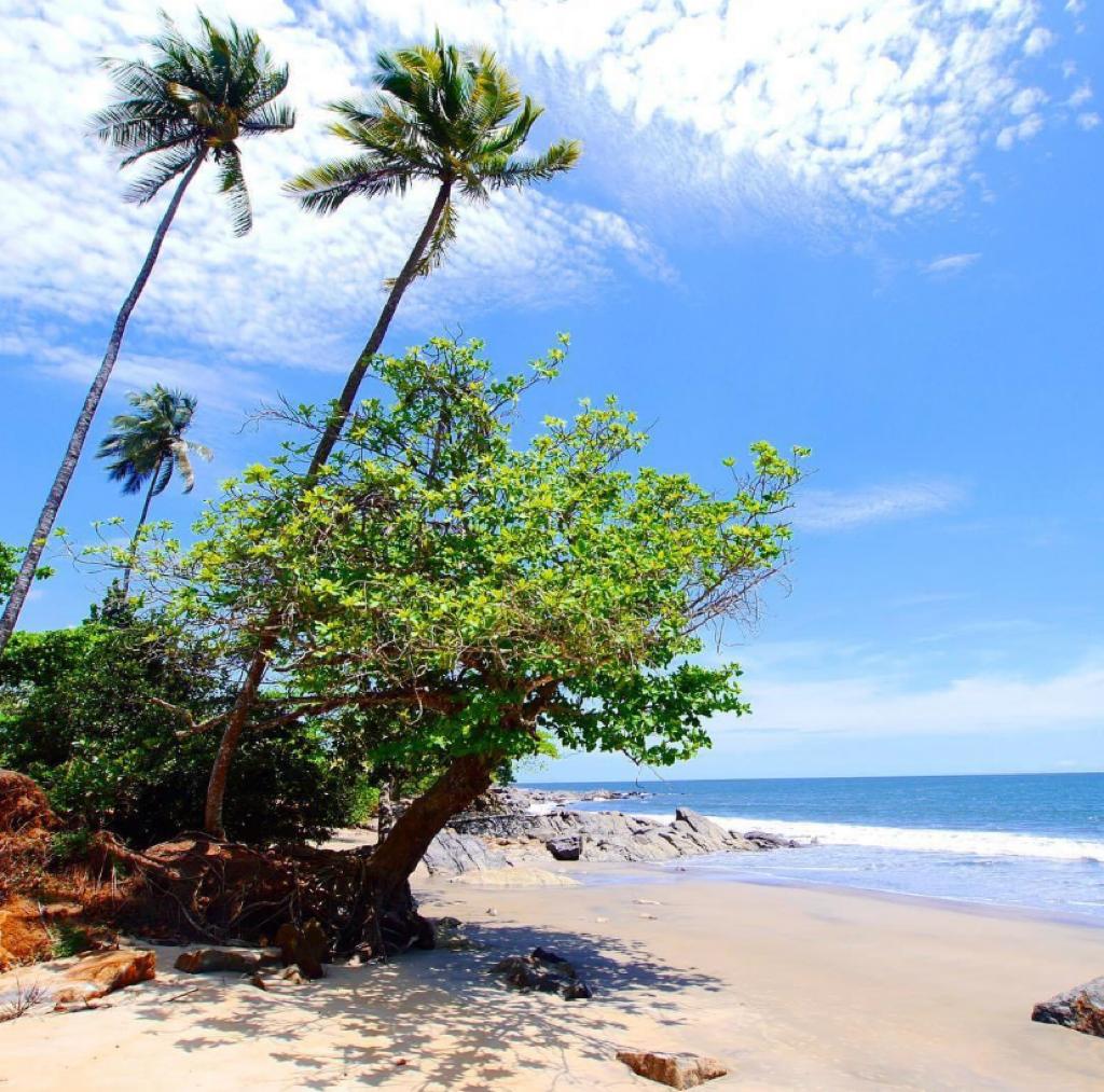 josee_lindsay's tweet image. Personnellement je trouve que les meilleurs plages sont au Cameroun. Pour voir plus de photo: instagram.com/discover_camer…

 #JeudiConfession #jeudiphoto