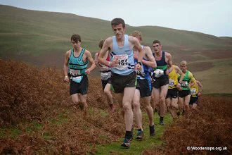 Woodentops tweet media