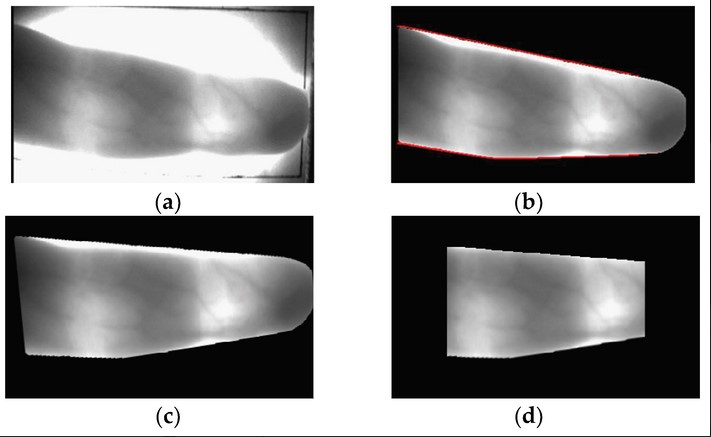 Sensors_MDPI's tweet image. Multimodal #BiometricRecognition Based on Convolutional Neural Network by the Fusion of Finger-Vein and Finger Shape Using Near-Infrared (NIR) Camera #Sensor 
@donggukuniv
👉mdpi.com/1424-8220/18/7…

#biometrics
#fingershape
#CNN
#multimodalbiometrics