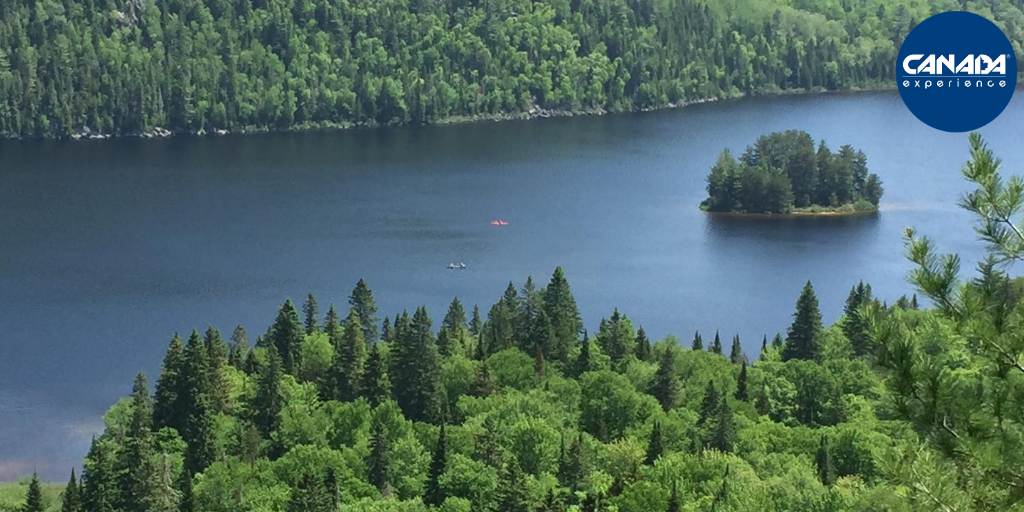 CanadaExperienc's tweet photo. 🇨🇦🟢🌲🌲 Destinazione Canada dell'Est- Parco della Mauricie con Canada Experience
. In Québec il 93% del Parco Nazionale della Mauricie è coperto da foreste.Lasciati ispirare dal Canada!
#canadapertutti #canadaexperiencetravel #canadaexperience https://t.co/OuIIg0XRjV
