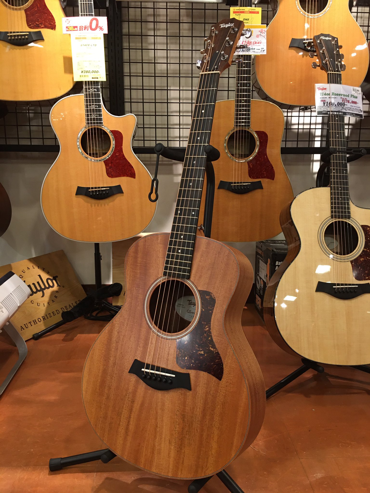 Taylor DN8 テイラー 引っこ抜こ