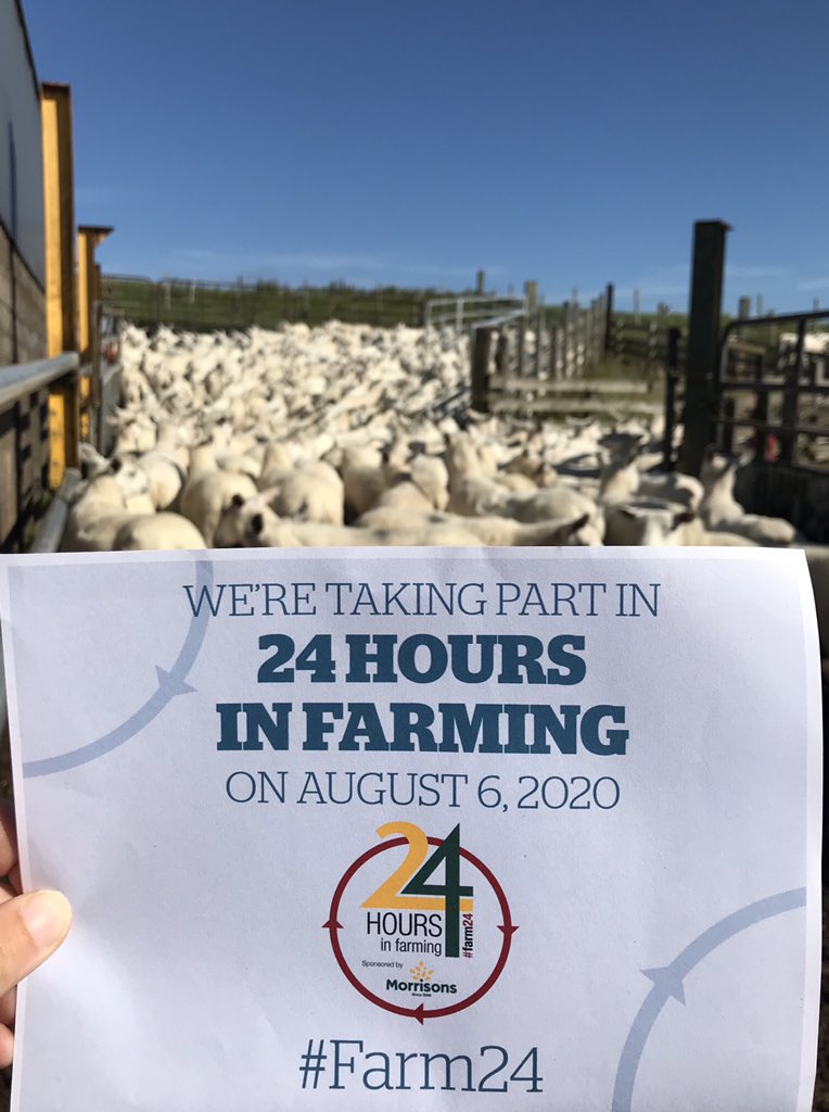 montaltfarm's tweet image. Beautiful day for #Farm24. I’m in the home office today working for @qmscotland as Health &amp;amp; Education Manager but will be popping out at lunch time to help with sheep 🐑 work! #MeatWithIntegrity