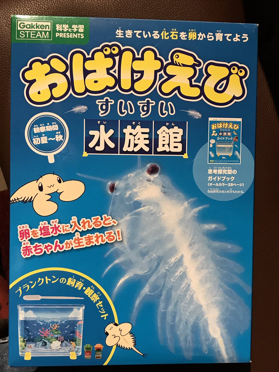 自由研究キャンペーン