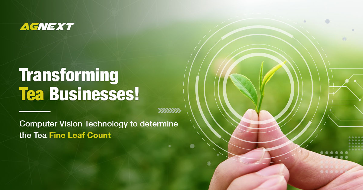 agnextworld's tweet photo. Transforming Tea Businesses | Computer vision technology to determine the Fine Leaf Count.
Read More- https://t.co/8NSw36mY6u
@TRATocklai @teaboardofindia @SLTeaBoard @TeaBoardOfKenya @CanadaTea
#AgNext #TragNext #FLC #Fineleafcount #teaprocessors https://t.co/ck34Q0tmMC