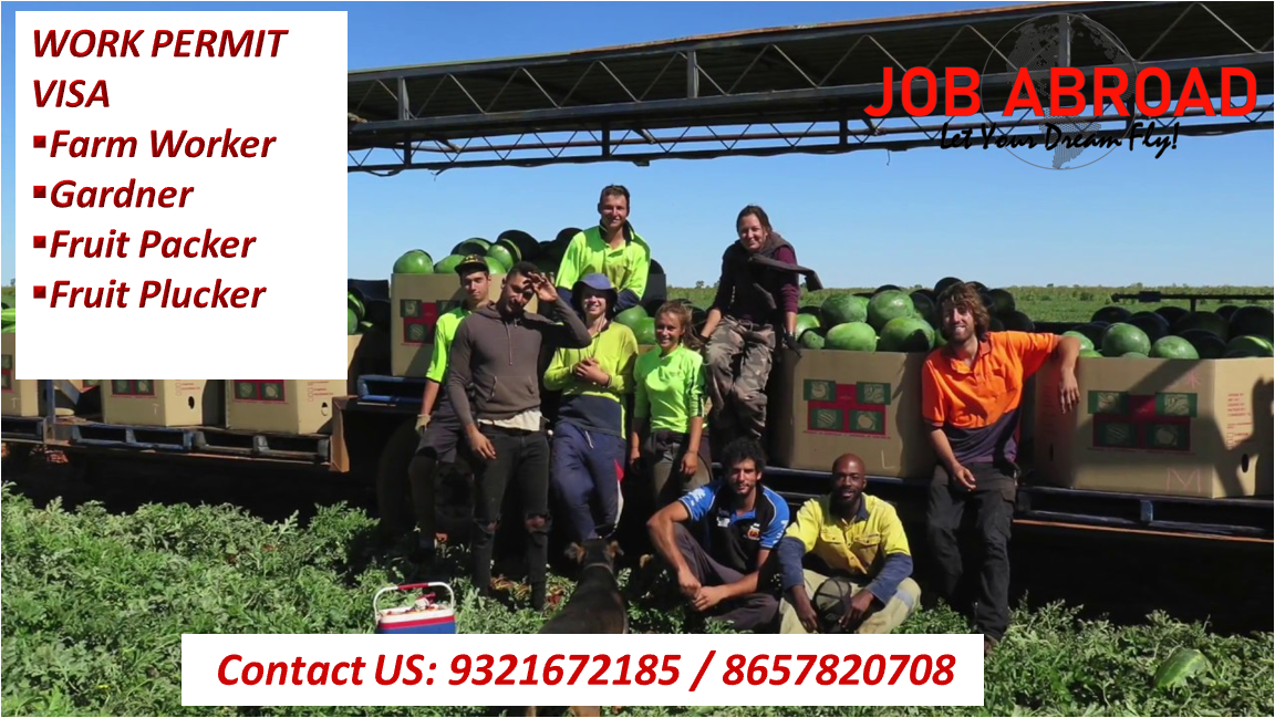 jobabroad_'s tweet photo. #workpermit #moveinaustralia #immigrationcounsutant #immigration #workpermitaustralia #careerinaustralia #jobsinaustralia #workinaustralia https://t.co/QMWY5mt7JF