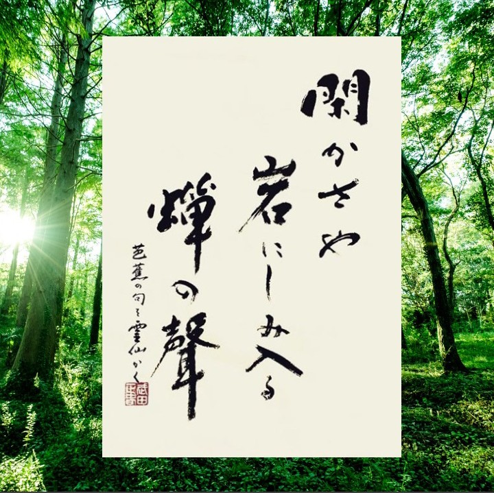 Ha Na Maru 山水画の如く 岩に岩を重ねたような美しい岩山 宇宙のような静けさの中 蝉の声は岩にしみ入るように静寂を引き立てている 命を燃やして懸命に歌う蝉に教えられます 松尾芭蕉 書道 筆文字 筆文字デザイン アート 俳句 夏 蝉