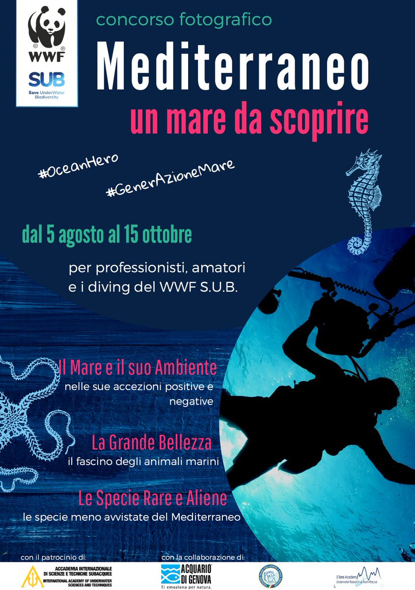 wwfitalia tweet media