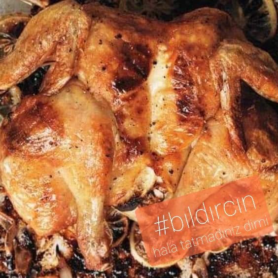 [View 12+] 27+ Bıldırcın Eti Mangal Png vector