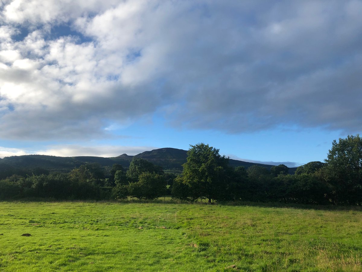 Carlton Adventure (@carltonadv) on Twitter photo Great morning on site today! 
A great day for the children attending our holiday programme session ☀️
#CarltonAdventure #Summer Great morning on site today! 
A great day for the children attending our holiday programme session ☀️
#CarltonAdventure #Summer