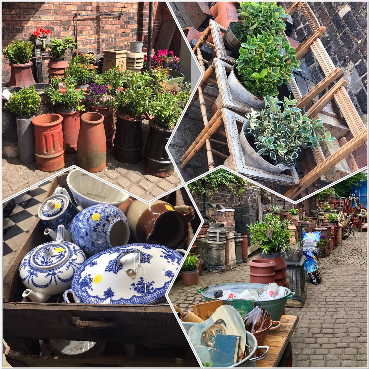 ⚡️FLASH SALE⚡️. Saturday 8th August 10 till 4 .We have lots more affordable yard pots between £10 -£30 ideal for the garden along with perfectly priced Plants-Shrubs . Also lots of Vintage treasures and potters past finds on the cobbled yard at Cherished Chimneys this weekend