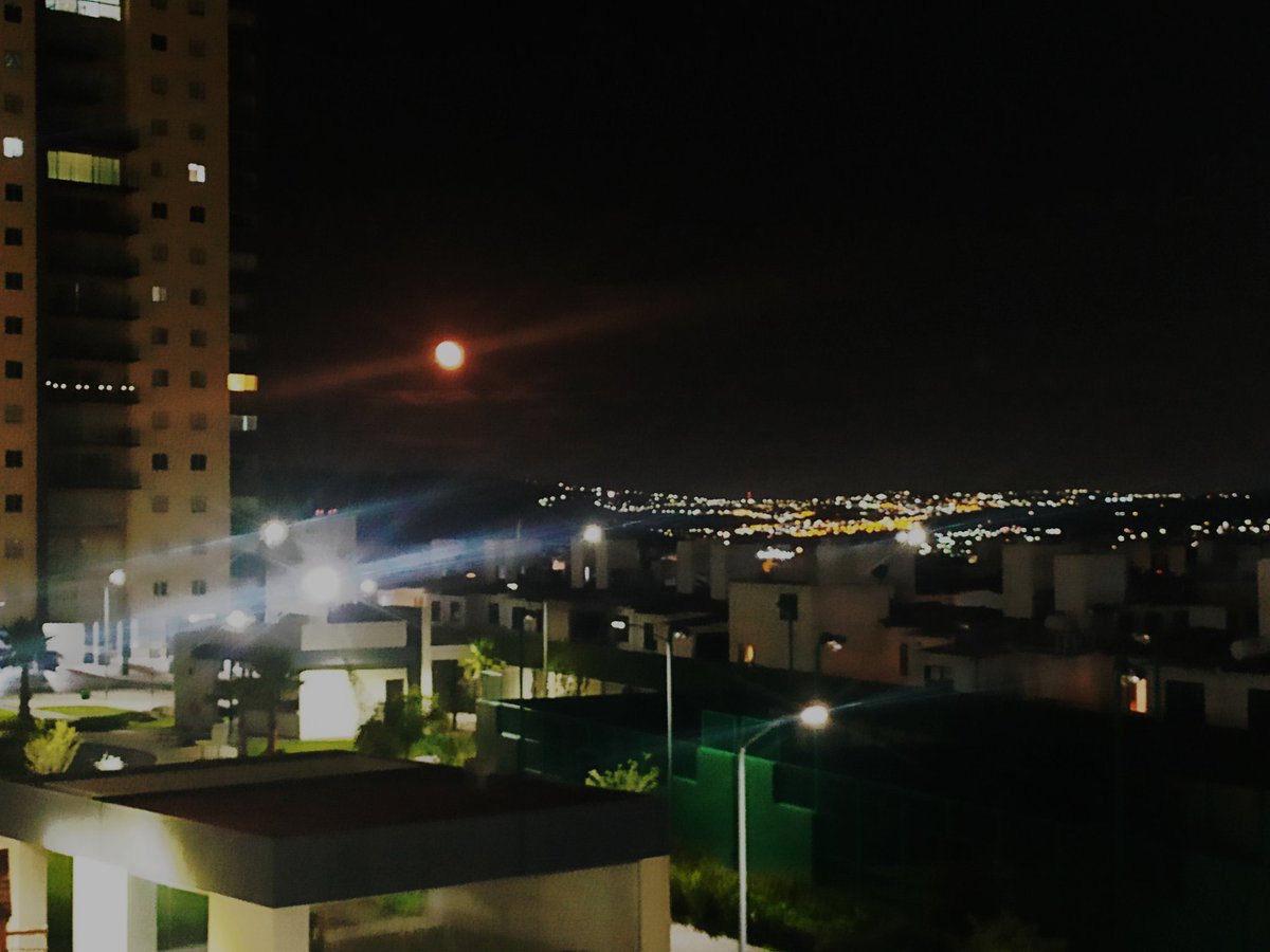 Jann0507's tweet photo. Mi fiel confidente
#Luna #LaAmo #Enamorada #Feliz #twitee #hermosa #tranquilidad #Amor #Compañia #Confidente #Secretos https://t.co/EapFjYTxtq