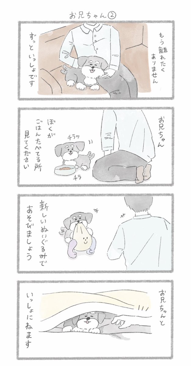 シュナさんとお兄ちゃん②
#こんにちはいぬ 