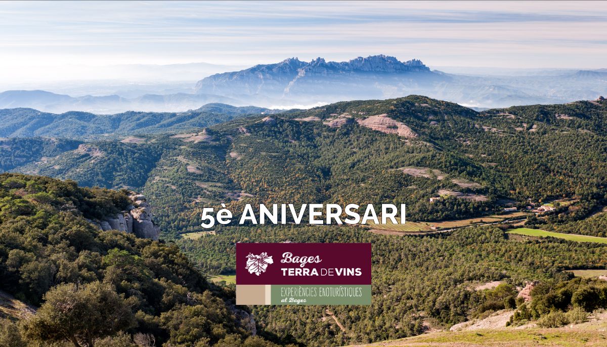 L'escapada ideal d'aquestes vacances - mailchi.mp/c969bfe124e0/l…