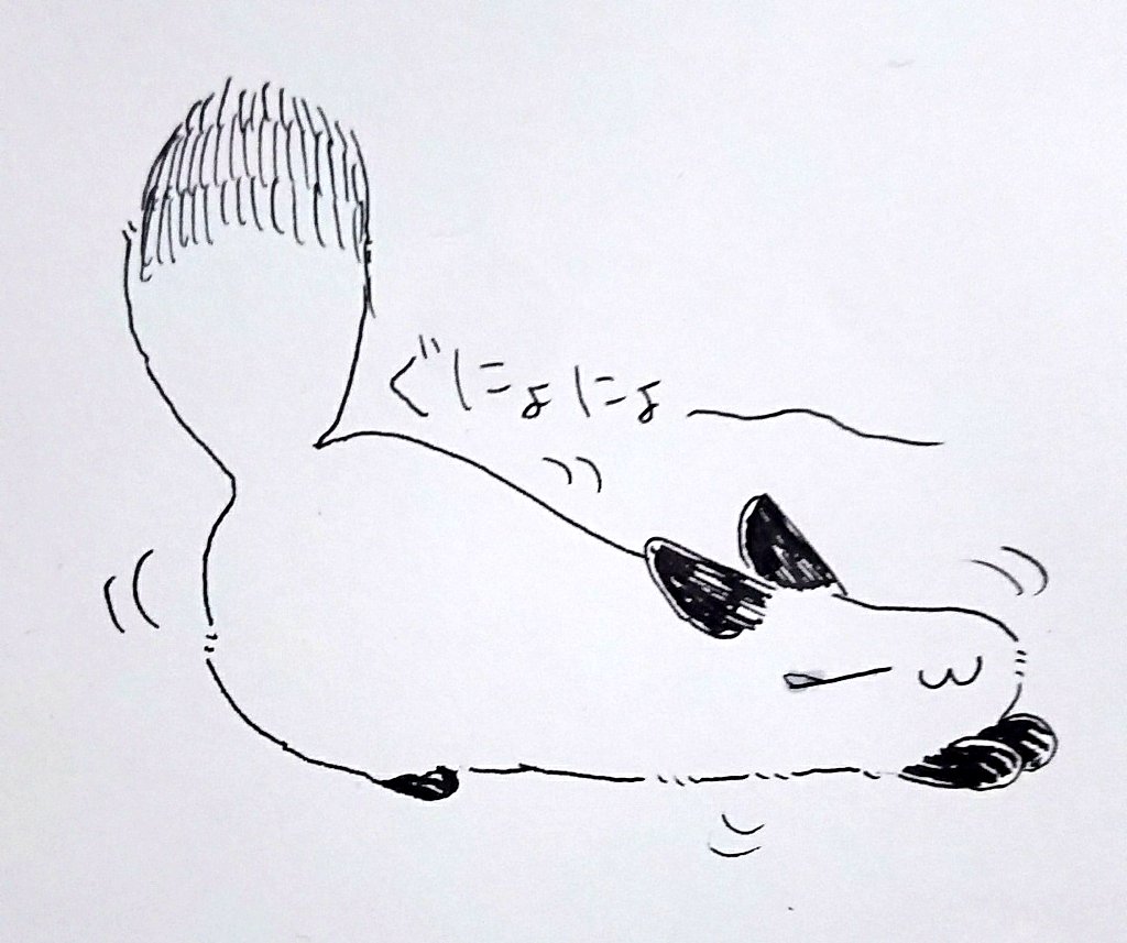 #ふしみボール 