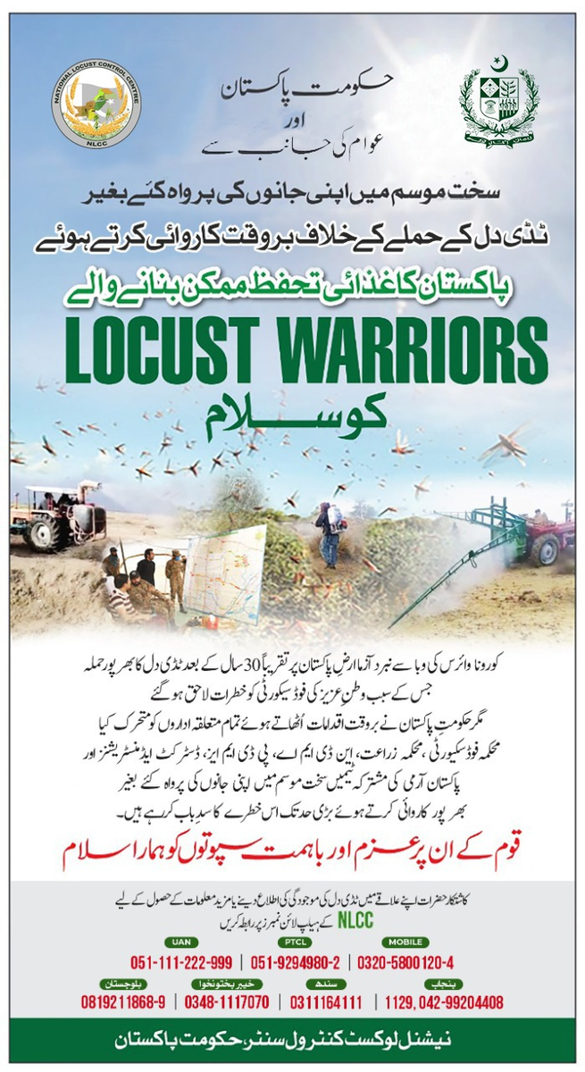 appcsocialmedia's tweet photo. Government paid tribute to Locust warrior for their utmost effort to control #Locustsattack
#APPNews @ndmapk #NDMA https://t.co/3z0pw1bEtc