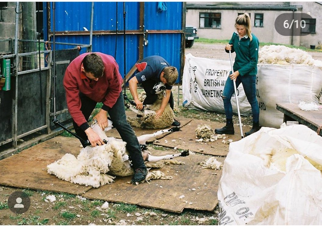 thomashall1994's tweet photo. Currently away on holiday but throwing it back to mid June for a #farm24 shearing native breed Derbyshire Gritstones in the Derbyshire countryside #Farm24 #shearing2020 #nativebreeds #peakdistrict #derbyshire #teamwork @BritishWool https://t.co/XLWU9MRepL