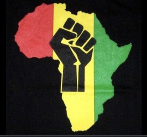 DougColtart's tweet photo. Citizens of Africa, let us stand together as ONE. ✊🏽 We are asking you to stand in solidarity with us, Zimbabweans, at this moment even as we pledge to stand in solidarity with you in your hour of need. 

#ZimbabweanLivesMatter #AfricansRising https://t.co/NzRK0Y0HN3