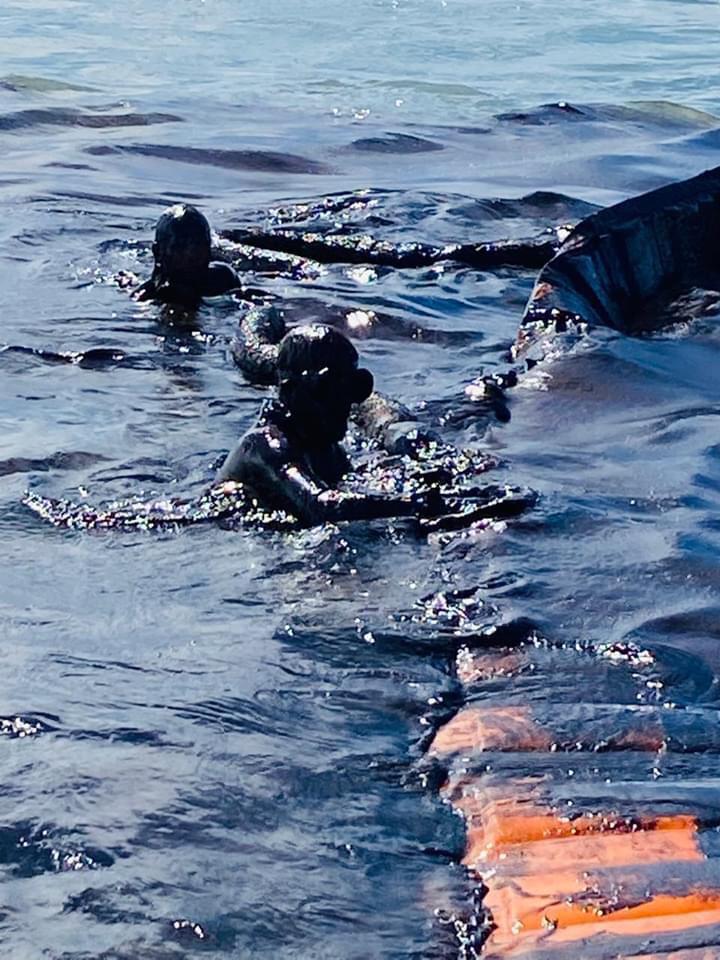 Maxwell_005's tweet photo. Oil Spill in Mauritius just now. Japanese Tanker was stuck on the reef there for several days/weeks. Despite public worry and outcry, the gov in place assured that it was empty and did nothing. Now its too late. The Blue Bay marine park ecosystem in grave danger. @BBCWorld https://t.co/fTQkwENNvy