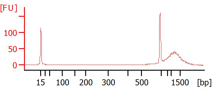 Hi twitter! Is anyone able to help us interpret the results of some #DNA analysis? Using 
<a href="/Agilent/">Agilent Technologies</a>
 bioanalyzer and dna1000 kit. We're puzzled by the upper marker peaks. Any help much appreciated!#DNAseq #pcr #quantification #phdadvice #phdchat #AcademicTwitter #AcademicChatter