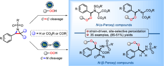 AdvSynthCatal's tweet photo. Accepted paper by Jaideep Saha and co-authors: An Approach to α‐ and β‐#Amino #Peroxides via Lewis Acid Catalyzed Ring Opening‐#Peroxidation of Donor‐Acceptor #Aziridines and N‐Activated Aziridines, #ringopening https://t.co/tm3Cw0R4Mn https://t.co/HQWMnPUFsA
