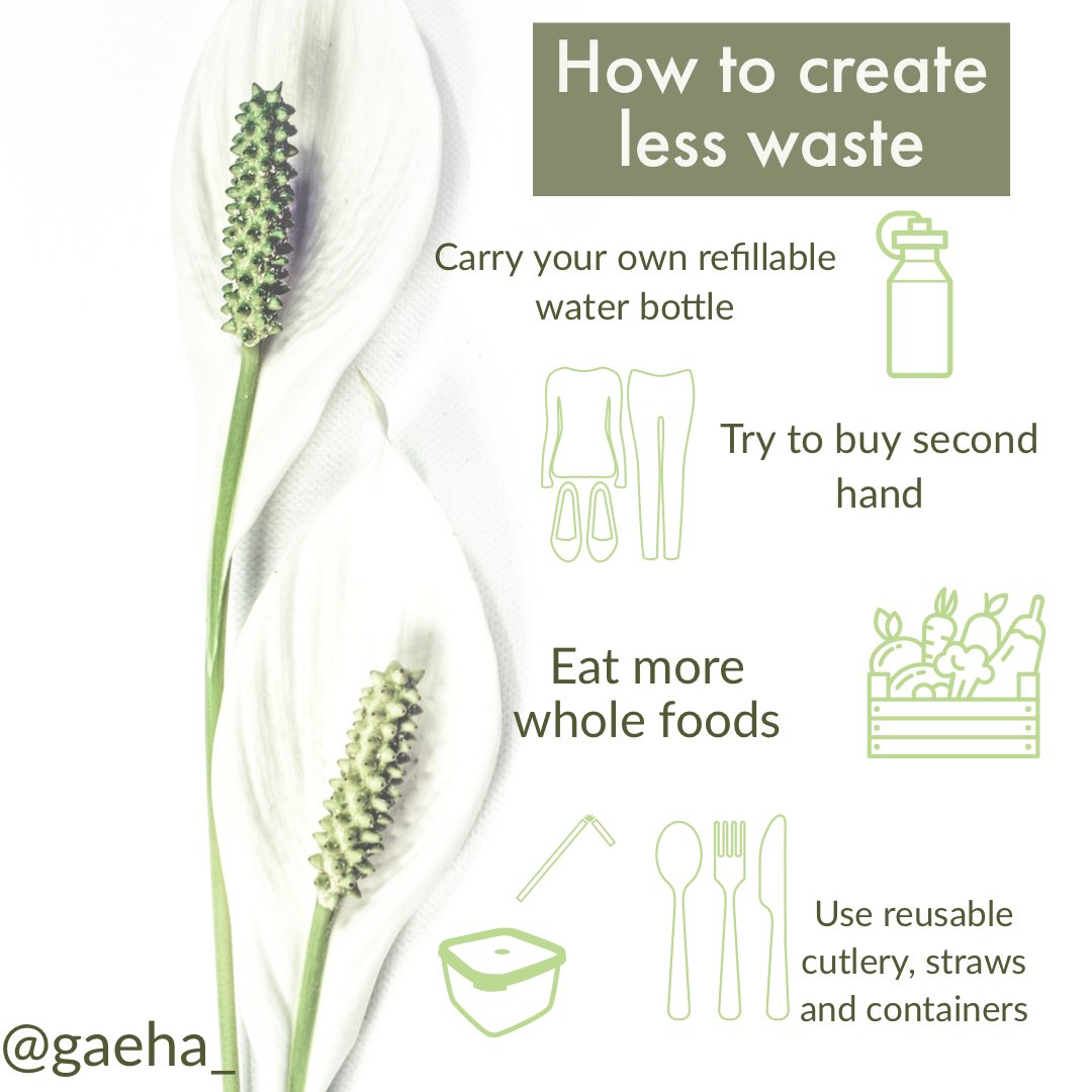 Gaeha_'s tweet image. Every #plasticbottle you didn’t buy, 🌿every straw you didn’t use, and every #freshlycooked meal you chose over #prepackaged microwave food can help reduce the #waste we create! 🍃

#sustainableswaps #plasticfreeliving #lowimpact #ecoconsciousswaps #thereisnoplanetb #ecolifestyle