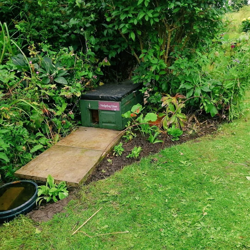 Little garden project this morning #beforeandafter #hedgehogfeedingstation #savingourhedgehogs 🦔♥️🦔♥️🦔♥️🦔 #EastYorkshire @avidgardener72 @HookGClub @BramblesPawLtd  @SpikesFood
