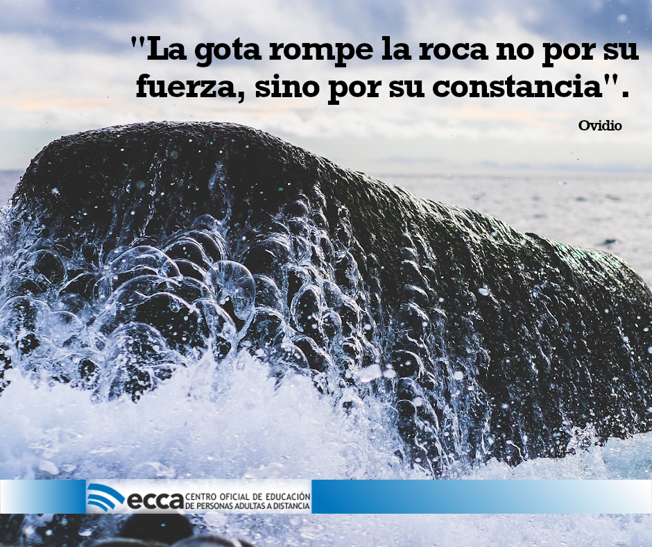 eccaedu's tweet photo. ¡#FelizJueves!🌊🏝⛅

El poeta romano Ovidio nos dejó la #FraseDelDía de hoy: "La gota rompe la roca no por su fuerza, sino por su constancia". ¿Constancia, perseverancia, como la clave del éxito? Una de las claves al menos...

#ConfiamosenelFuturoECCA #formación #éxito https://t.co/T44VZJpAS4