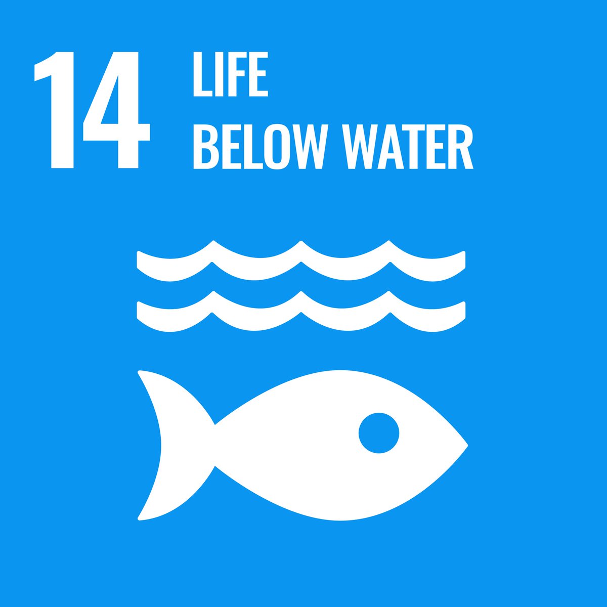 Goal 14: Life Below WaterShe loves her spending time in beaches ,swimming pools etc.